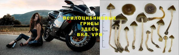спиды Абдулино