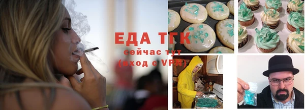 индика Абаза