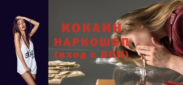 индика Абаза