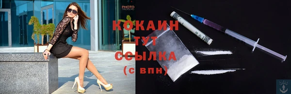 индика Абаза