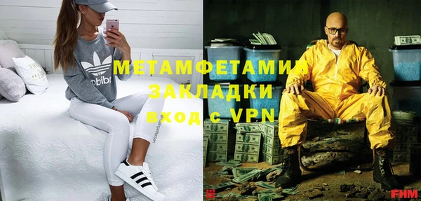 индика Абаза