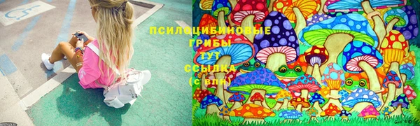 индика Абаза