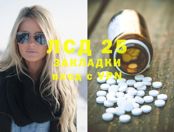 индика Абаза