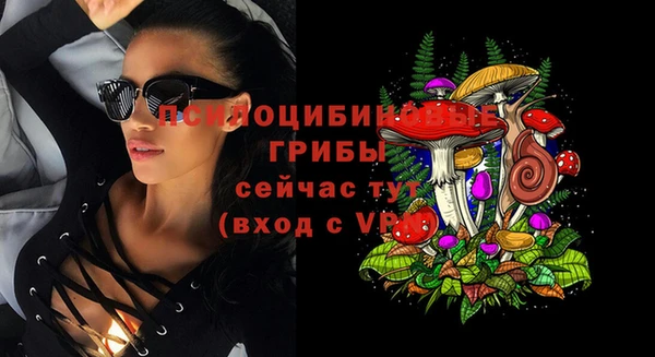 индика Абаза