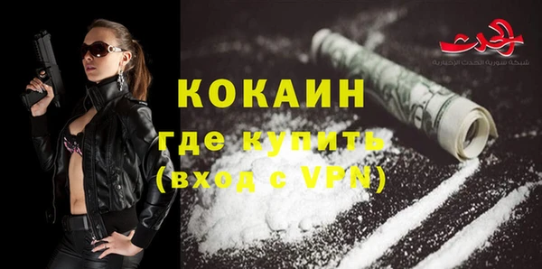индика Абаза