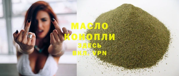 индика Абаза