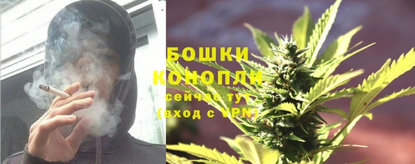 индика Абаза