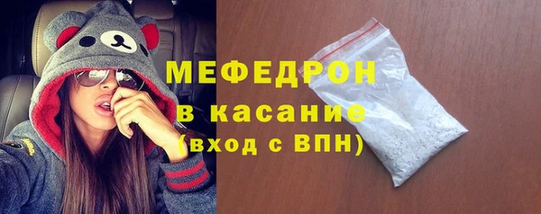 индика Абаза