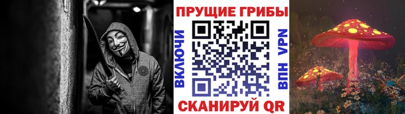 Галлюциногенные грибы мицелий  сколько стоит  Барыш 